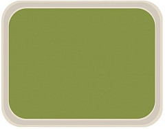  Roltex Polyester Standard Service Tray Green 470 x 360mm 