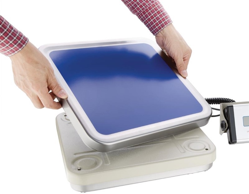  Weighstation Electric Bench Scales 30kg 