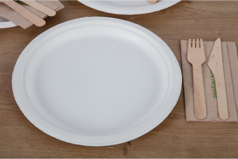  Fiesta Green Compostable Bagasse Plates Round 260mm (Pack of 50) 