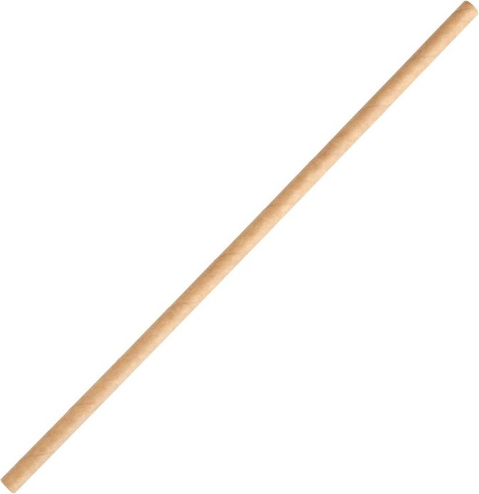  Fiesta Compostable Paper Straws Kraft (Pack of 250) 