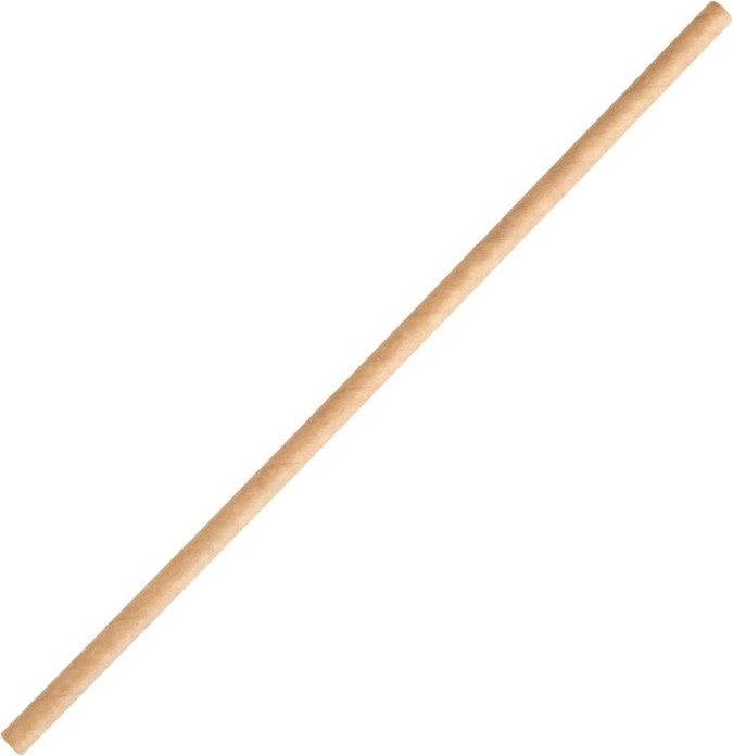  Fiesta Compostable Paper Straws Kraft (Pack of 250) 