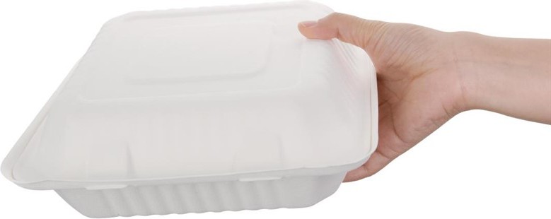  Fiesta Green Compostable Bagasse Hinged Food Containers 236mm (Pack of 200) 