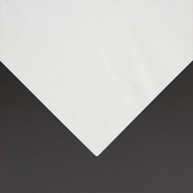  Fiesta Napkins White 300x300mm (Pack of 5000) 