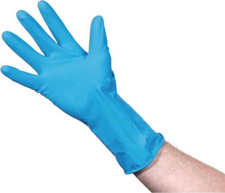  Jantex Household Glove Blue Large 