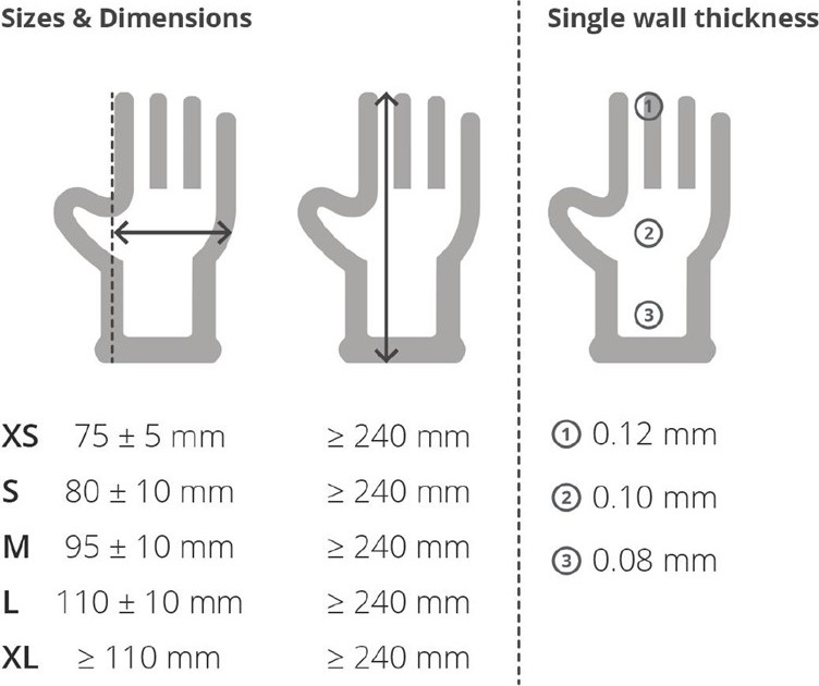  Gastronoble Powder-Free Latex Gloves L (Pack of 100) 