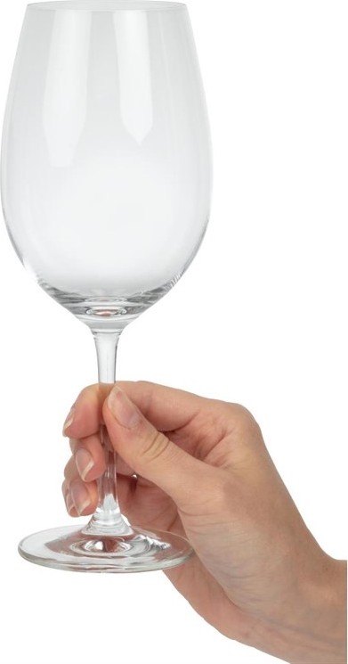  Schott Zwiesel Ivento Red Wine Glasses 480ml (Pack of 6) 